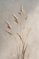 Canvas preview
