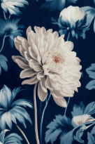 Canvas preview